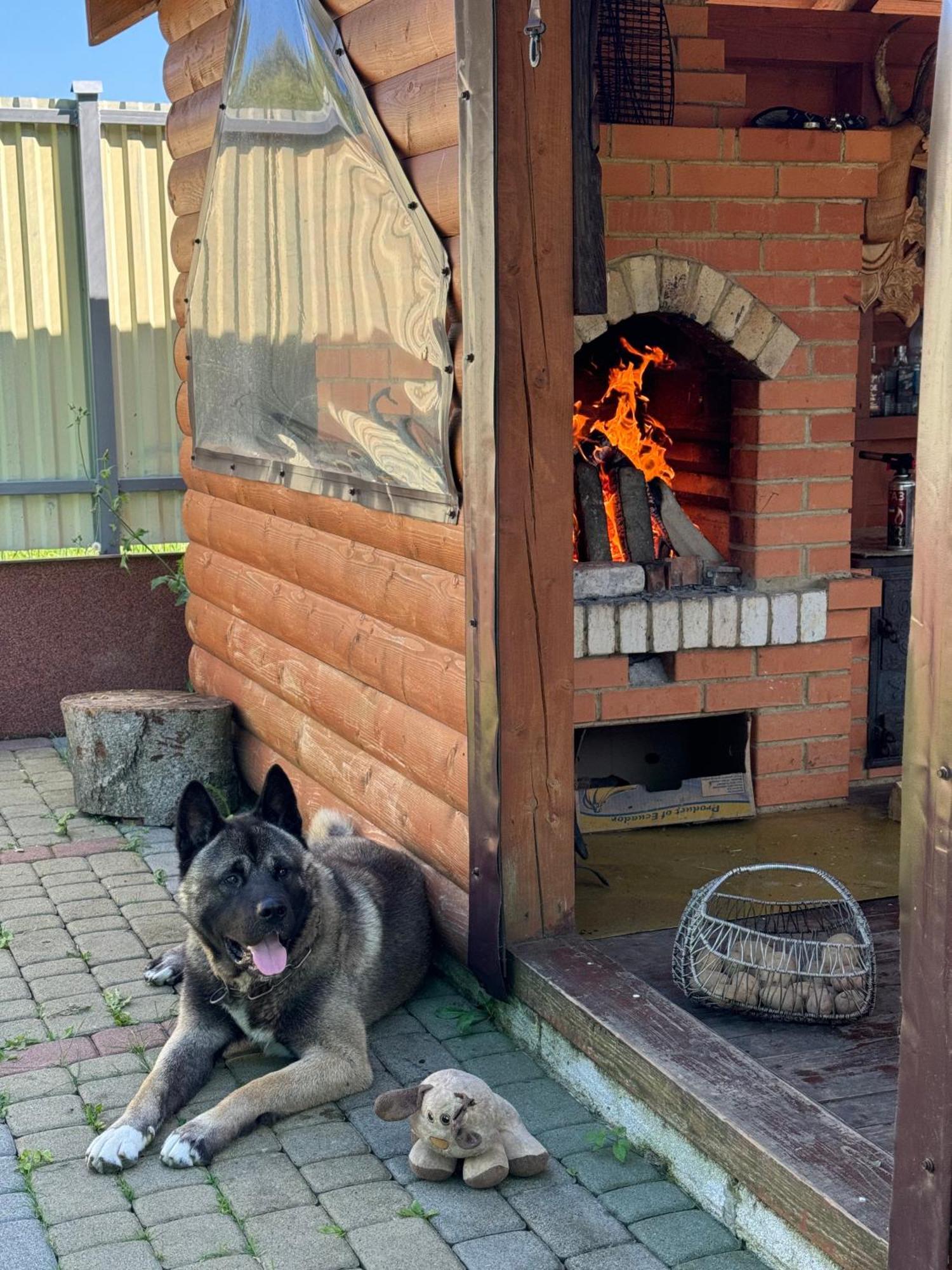 Під Боржавою Volovets Eksteriør billede